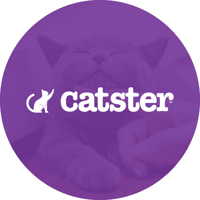 Catster