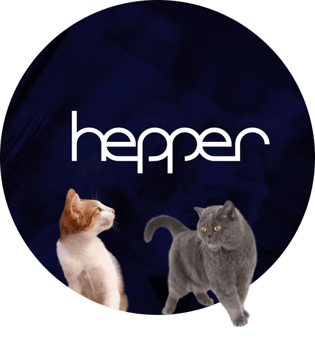 Hepper