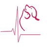 Burtch Animal Hospital logo