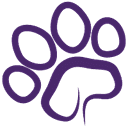 Little Paws Animal Clinic logo
