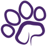 Little Paws Animal Clinic logo