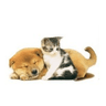 St. Catharines Animal Hospital logo