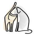 Amberlea Animal Hospital logo